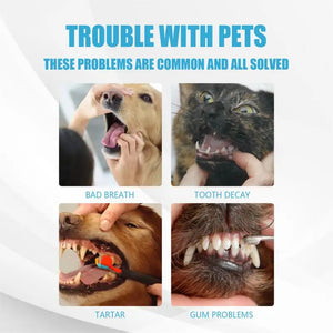 60g Pet Toothpaste Cat Dog Fresh Breath Toothpaste Deodorant Tartar Plaque Cleaning Dog Oral Care Edible Toothpaste Pet Products