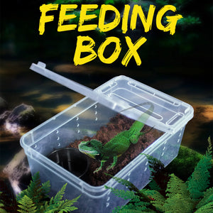 Small Pet Reptiles Living Box Reptile Habitat Scorpion Lizard Breeding Case Hatching Container Rearing Box Animal Feeding Tool