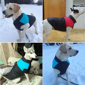 Winter Warm Waterproof Dog Jacket for Small Medium Large Dogs Clothes Chihuahua Vest Labrador French Bulldog Costume Pet Apparel