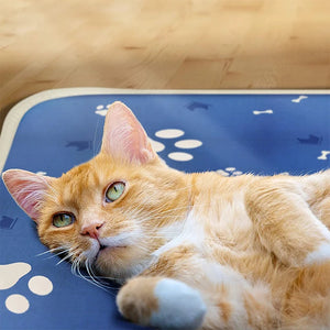 Xiaomi Pet Heating Pad Blanket Waterproof Cat Mat Bed Dog Winter Warmer Pad Home Office Chair Heated Mat Small Dogs Beds