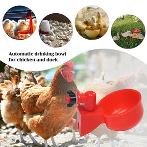 5-50PCS Chicken Drinking Cup Automatic Drinker Chicken Feeder Waterer Drinking Bowl Water Feeder for Chicks Duck Goose Quail