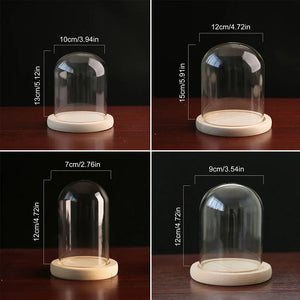 Glass Dome Wooden Base With LED Light Birthday Gift Bedroom Decor Glass Cover Landscape Vase Terrarium Container Flower Holder