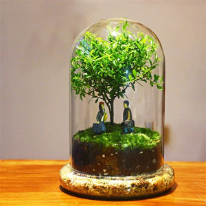 Creative Glass Cover Dome Glass Bottles Succulent Glass Vase Micro Succulent Moss Landscape Glass Terrarium Home Decoration