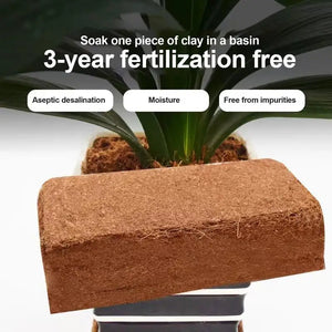 Natural Coconut Soil Coconut Fiber Substrate Lizard Turtle Reptile Bedding Terrarium Bottom Supplies