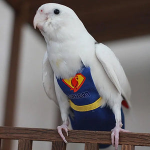 Waterproof Parrot Diaper Washable Harness Bird Flight Suit Protective Liner For Quaker Parakeet Pet Birds Parrot Cockatoos