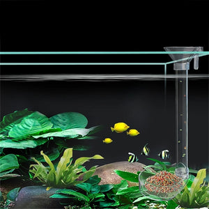 1 Set Aquarium Acrylic Feeding Tube Bowl Aquarium Shrimp FishTank Acrylic Feeding Tools Anti-drift Feeding Feeder