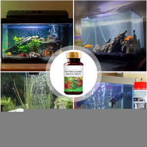 Fish Tank Cleaner Water Purifier And Algae Remover Water Purifier For Freshwater Aquariums Algae Remover For Freshwater