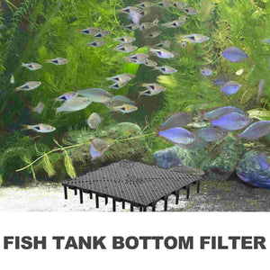 Filter Tank Plate Aquarium Bottom Gravel Divider Pvc Sand Grid Board Black Undergravel Crate Gallon Egg Filters Tray Stand