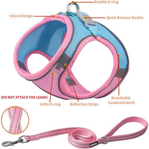 Dog Harness Vest Chest Cat Collars Rope Adjustable Breathable Mesh Dog Harness Clothes Outdoor Walking Small Medium Pet Supplies