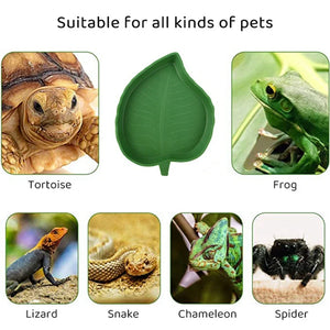 Reptile Leaf Shape Dish Reptile Food Water Bowl Tortoise Habitat Accessories Water Plate For Turtle Lizards Hamsters Snakes 2024