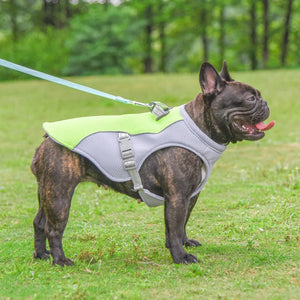 Ice Cooling Dog Vest Summer Mesh Clothes for Small Medium Large Dogs Outdoor Pet Cool Down Jackets Breathable Big Dog Harness