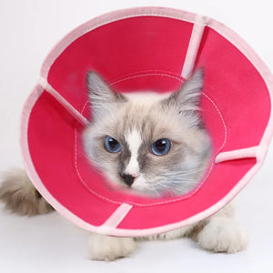 Cat Dog Anti-Bite Lick Surgery Wound Healing Cat Dogs Health Medical Circle Pet Protective Collar Dog Neck Cone Recovery Collar