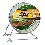 Wild Harvest 7 inch Metal Pet Activity Wheel For guinea pigs, hamsters, gerbils and other small animals