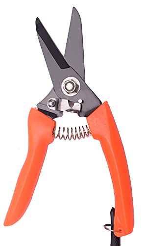 Hoof Trimming Shears (2 pcs) - Goat Hoof Trimmer Foot Rot Trimming Shears Nail Trimmer for Goats Sheep Pig,Floral Trimming Shears for Garden