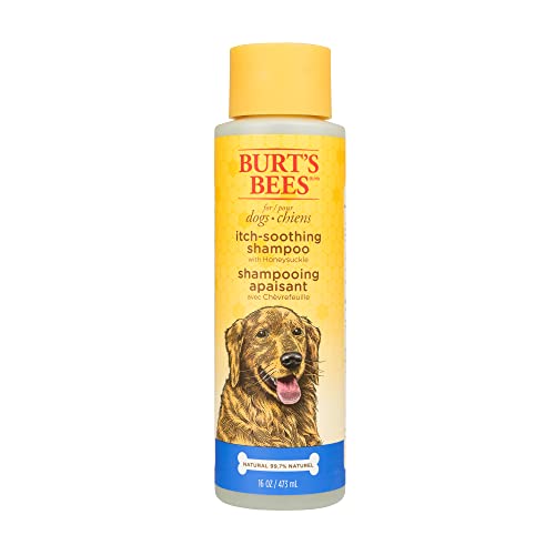 Burt's Bees for Pets Natural Itch Soothing Shampoo with Honeysuckle | Anti-Itch Dog Shampoo for All Dogs | Cruelty Free, Sulfate & Paraben Free, pH Balanced for Dogs - Made in the USA, 16 Ounces