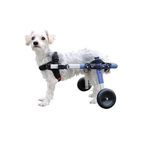 Walkin' Wheels Small Dog Wheelchair, Lightweight Dog Wheelchair for Back Legs, 15-25 lbs, for 6-8 inches Leg Height - Blue