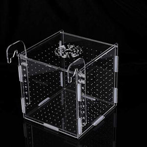 POPETPOP Fish Breeding Box-2 Isolation Box Breeder Hatchery Incubator Aquarium Fish Breeding Boxes Divider Hatching Boxes Accessory-Hook Pattern