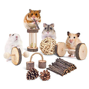 ERKOON 11 Pack Chinchillas Chew Toys, Toys Accessories for Teeth Care, Natural Apple Wood Ladder Bell Roller for Russian Hamster Gerbils Rats Guinea Pigs