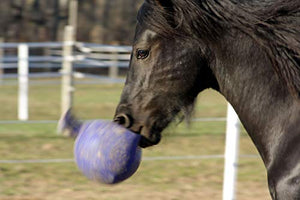 Horsemen's Pride 10" Horse Jolly Ball Purple