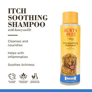 Burt's Bees for Pets Natural Itch Soothing Shampoo with Honeysuckle | Anti-Itch Dog Shampoo for All Dogs | Cruelty Free, Sulfate & Paraben Free, pH Balanced for Dogs - Made in the USA, 16 Ounces