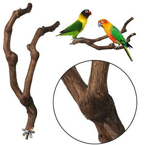 kathson Natural Parrot Perch Bird Stand Pole Wild Grape Stick Paw Grinding Fork Parakeet Climbing Standing Branches Toy Chewable Cage Accessories for Small Budgies Cockatiels Lovebirds 3PCS