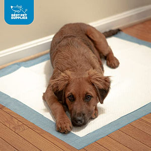 Best Pet Supplies, XL (36" x 27.5") Disposable Puppy Pads for Whelping Puppies and Training Dogs, 100 Pack - Ultra Absorbent, Leak Resistant, and Track Free for Indoor Pets - Baby Blue