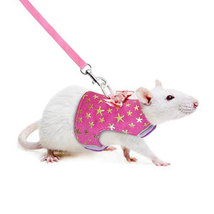 Stock Show Small Pet Outdoor Walking Harness Vest and Leash Set with Cute Bowknot Decor Chest Strap Harness for Rat Ferret Squirrel Hamster Clothes Accessory, Pink Star