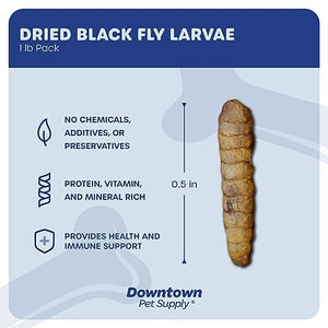 Downtown Pet Supply 1 LB Black Soldier Fly Larvae for Wild Birds, Poultry, Reptiles, and Small Mammals Rich in Vitamin B12, B5, Protein, Fiber, Omega 3 Fatty Acids - Great as Mealworms for Chicken