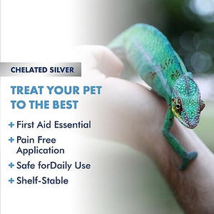 PetSilver Wound Reptile, Snake & Lizard Formula with Chelated Silver - Made in USA - Vet Formulated - Natural Pain Free Formula - Relief Support for Skin Issues, Sores, Scale Rot 2 fl oz