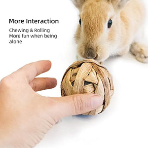 andwe Small Animals Play & Activity Balls Rolling Chew Toys for Rabbits Guinea Pigs Chinchilla