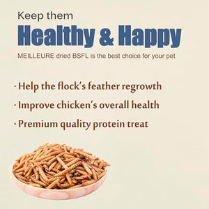 MEILLEURE Dried Black Soldier Fly Larvae for Chickens 5LBS, 85X More Calcium Than Dried Mealworms, Non-GMO 100% Natural BSF Larvae Chicken Treat for Lizard Ducks Wildbirds Gekcos