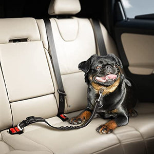 PETZANA Seat Belt for Dogs with Elastic Bungee Buffer | Car Travel Accessories for Dogs Adjustible, Elastic (Black)