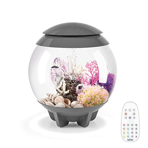biOrb Halo 15 Acrylic 4-Gallon Aquarium with Multi-Color Remote-Controlled LED Lights Modern Compact Tank for Tabletop or Desktop Display, Gray