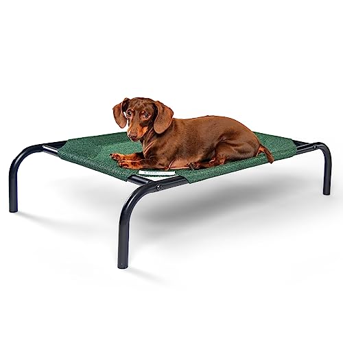 Coolaroo The Original Cooling Elevated Pet Bed,Brunswick Green, Small