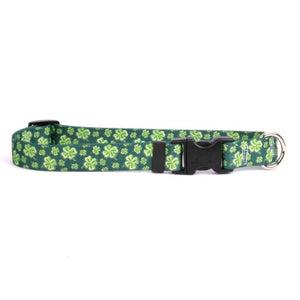 Yellow Dog Design 4 Leaf Clover Dog Collar Fits Neck 14 To 20"/4" Wide, Medium 3/4" Wide