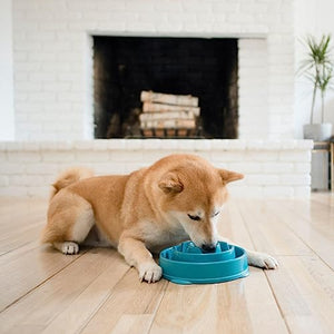 Outward Hound Fun Feeder Slo Bowl, Slow Feeder Dog Bowl, Medium/Mini, Turquoise