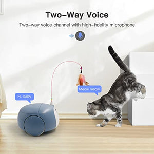 Pet Camera Treat Dispenser, Cat Dog Camera, Pumpkii Automatic Pet Feeder with App Remote Control, 2 Way Audio, 1080P HD Mobile Camera with Night Vision, Interactive Replaceable Cat Teaser