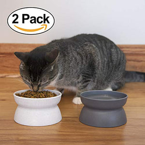 Kitty City Raised Cat Food Bowl Collection/Stress Free Pet Feeder and Waterer and Slow Feed Bowls