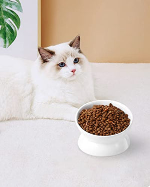 LoeJan Elevated Cat Food Bowl, 5 Oz Ceramic Raised and Tilted Water Bowl, Anti Vomiting and Protect Pets' Spines Dishes for Small Dog, Fat Faced Cat, Kitten (White, 1 Pack)