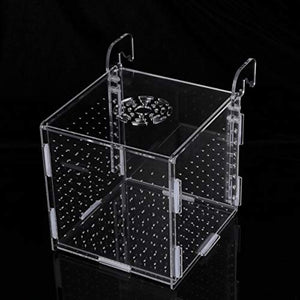 POPETPOP Fish Breeding Box-2 Isolation Box Breeder Hatchery Incubator Aquarium Fish Breeding Boxes Divider Hatching Boxes Accessory-Hook Pattern