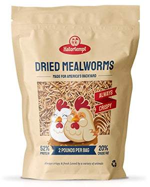 Hatortempt 2 lb Dried Mealworms for Wild Birds & Chickens- Premium Non-GMO Organic Feed- Nutritious High Protein Dried Meal Worms, Food and Treats for Laying Hens, Bluebirds, Ducks, Reptiles, Hedgehog