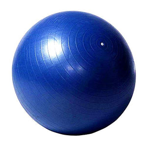 Herding Ball for Horse, 40" Anti-Burst Giant Soccer Ball Toy for Horses, Pump Included