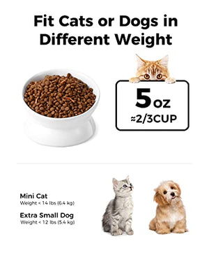 LoeJan Elevated Cat Food Bowl, 5 Oz Ceramic Raised and Tilted Water Bowl, Anti Vomiting and Protect Pets' Spines Dishes for Small Dog, Fat Faced Cat, Kitten (White, 1 Pack)