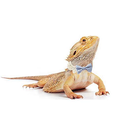 Lizard Clothes Bearded Dragons Blue White Plaid Bowtie with Elastic Lace Decor Handmade Stretchy Bowknot Collar Outfit Reptile Apparel Accessories Photo Gift Lizard Clothes for Leopard Reptile Gecko