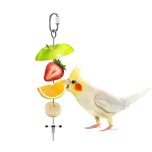 Bird Food Holder Stainless Steel Fruit Vegetable Stick Skewer for Parrots Cockatoo Cockatiel Cage Treating Tool (L: 7.86inch)