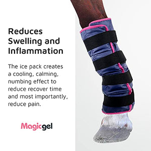 Horse Ice Pack - Cooling Leg Wraps for Hock, Ankle, Knee, Legs, Boots, and Hooves. (Twin Ice Boot, by Magic Gel)