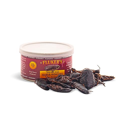 Fluker's Gourmet Canned Food for Reptiles, Fish, Birds and Small Animals - Dubia Roaches, 1.2oz