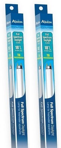 Aqueon (2 Pack) Aqueon Fish Aquarium Lights T8 Lamp, Daylight, 18-inch, 15 Watt