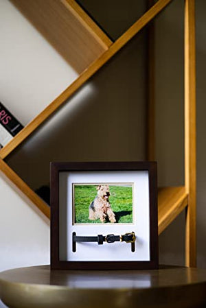 Pearhead Pet Collar Keepsake Frame, Pet Memorial Picture Frame, Pet Owner Home Decor, Cat Or Dog Keepsake, 3" x 4.5" Photo Insert, Wall Mount And Tabletop Frame, Espresso