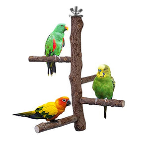 Filhome Bird Perch Stand Toy, Natural Wood Parrot Perch Bird Cage Branch Perch Accessories for Parakeets Cockatiels Conures Macaws Finches Love Birds (M: 10" Length)